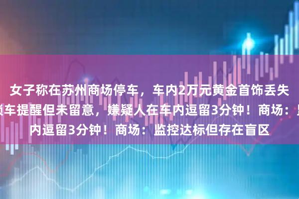 女子称在苏州商场停车，车内2万元黄金首饰丢失！曾收到特斯拉未锁车提醒但未留意，嫌疑人在车内逗留3分钟！商场：监控达标但存在盲区